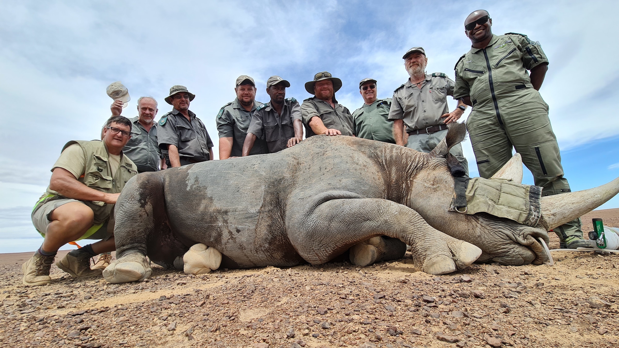 black rhino dehorning Save the Rhino Trust Markus Hofmeyr