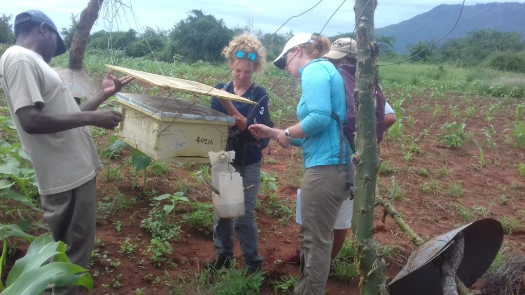 Photo by Zach Mislani