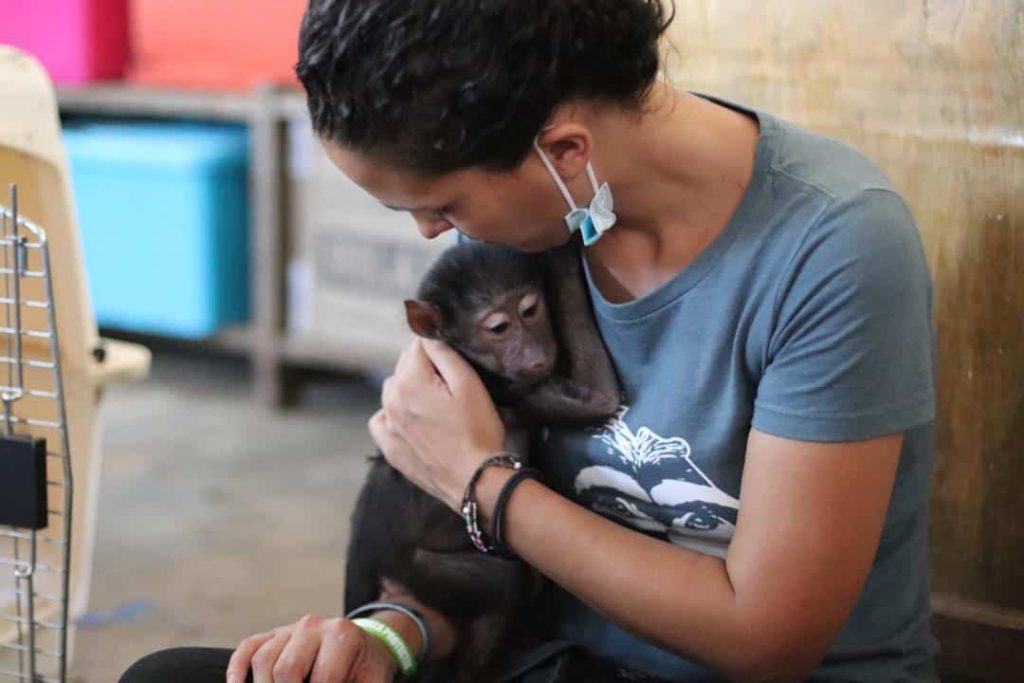 Lwiro Primate Sanctuary