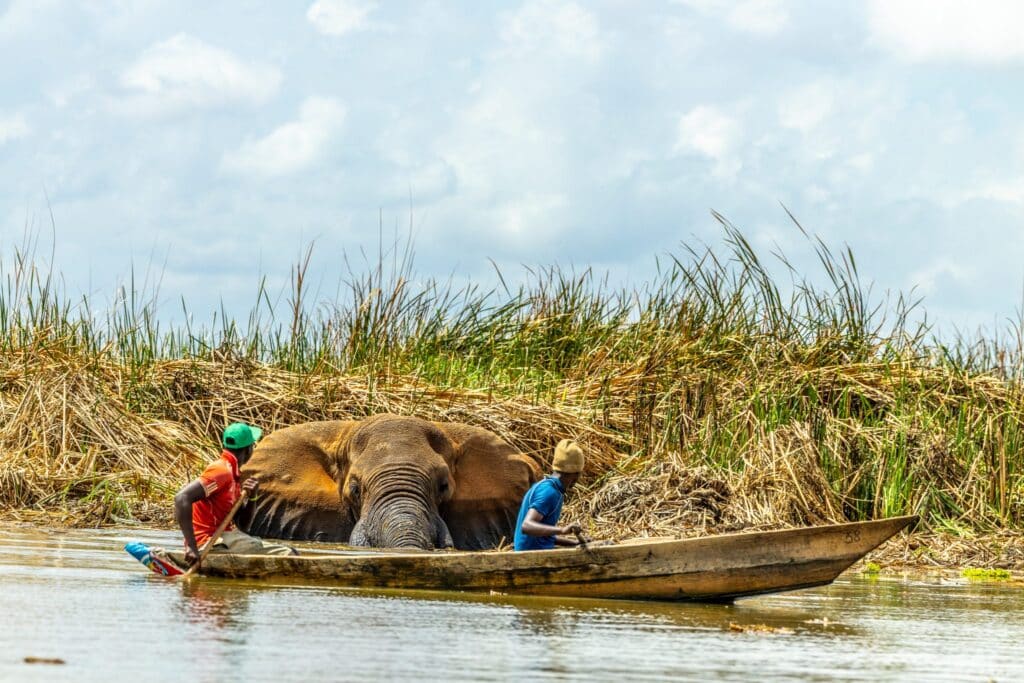Elephant Kenya communities coexistence
