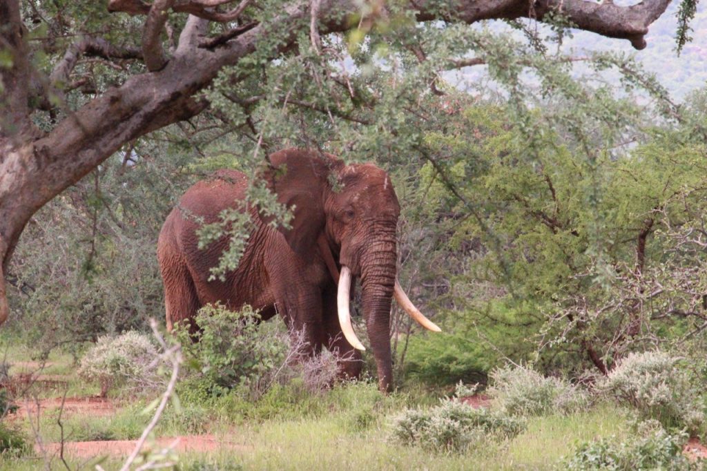 Photo by Ewan Brennan