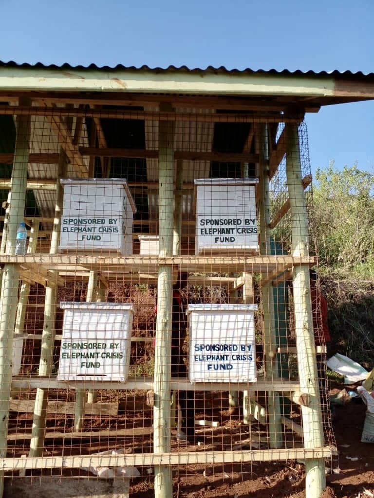 Beehives inside an apiary.