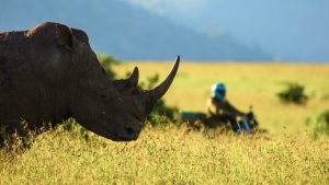 get-involved-featured-01